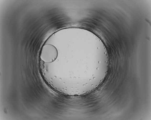 X0000096701483200803041311