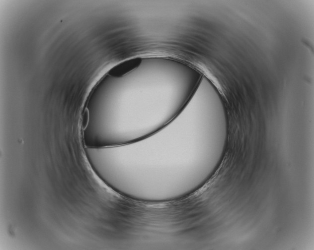 X0000096701484200803041311