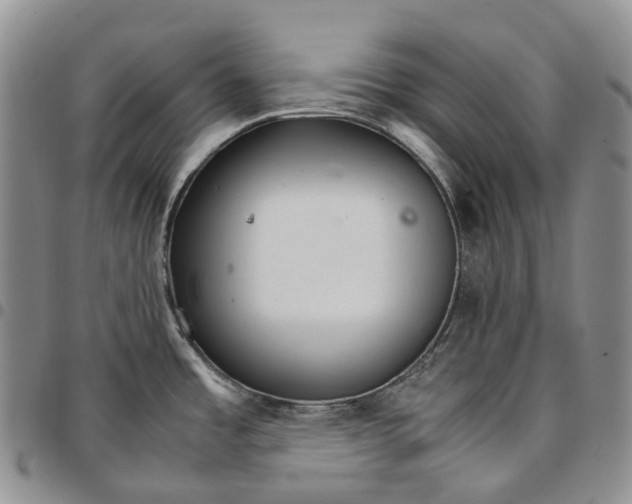 X0000096701485200803041311