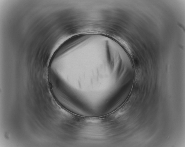 X0000096701486200803041311