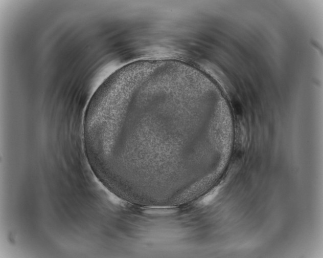 X0000096701487200803041311