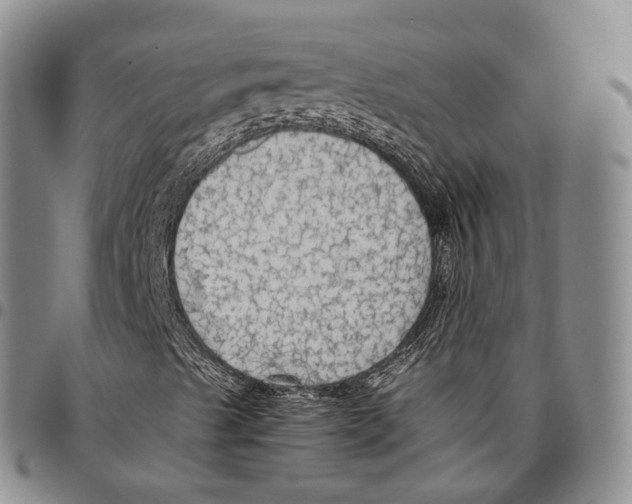 X0000096701489200803041310