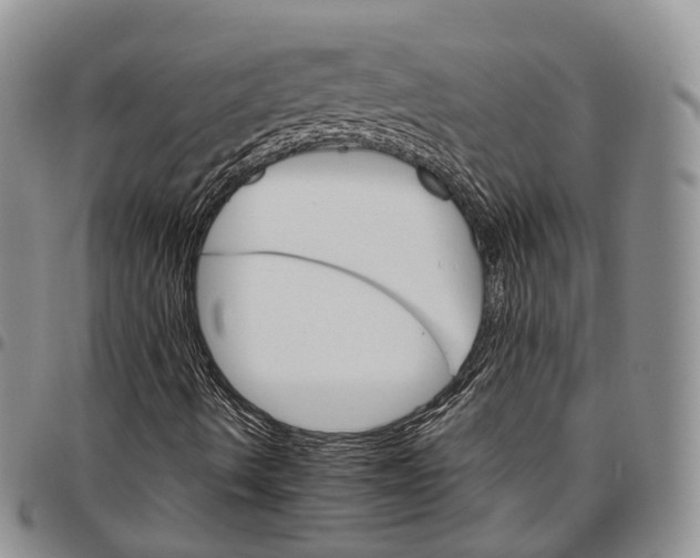 X0000096701490200803041310