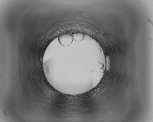 X0000096701491200803041310