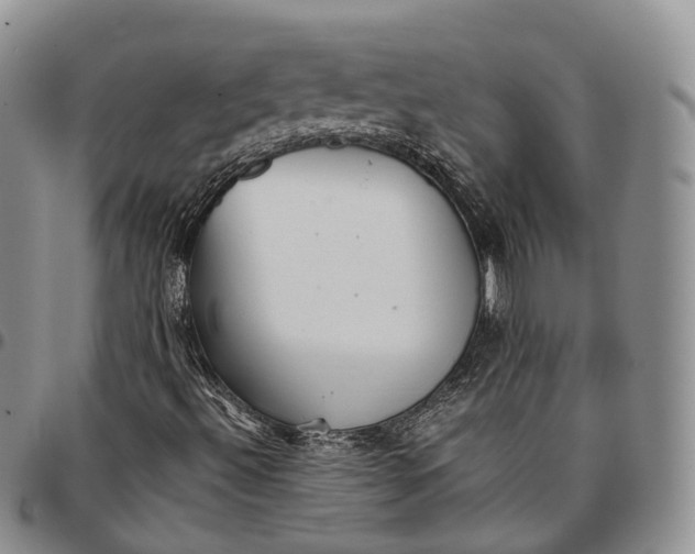 X0000096701492200803041310