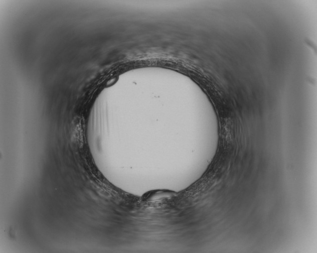 X0000096701493200803041310