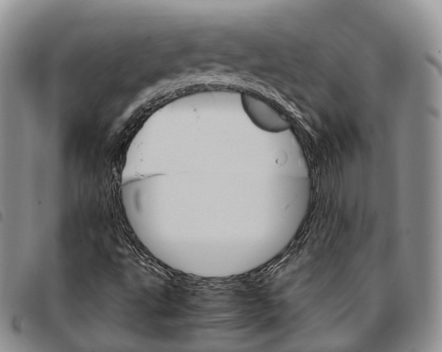 X0000096701495200803041310