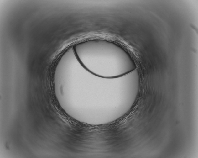 X0000096701496200803041310