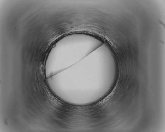 X0000096701497200803041310