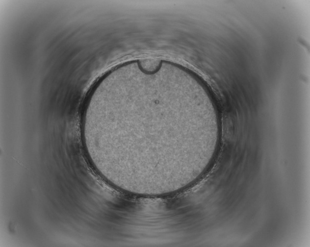 X0000096701498200803041310