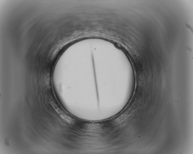 X0000096701499200803041310