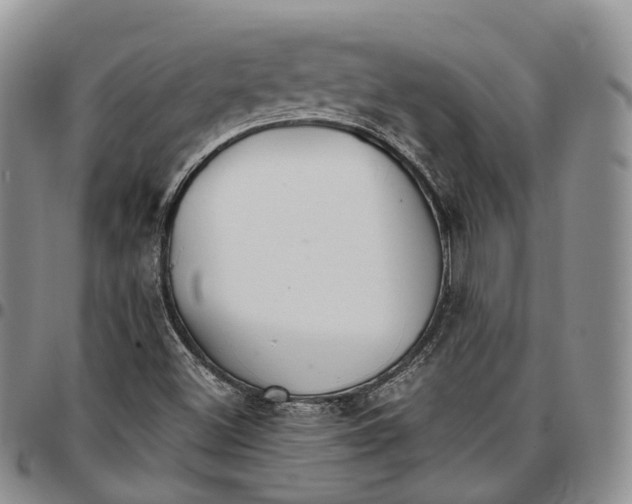 X0000096701500200803041310