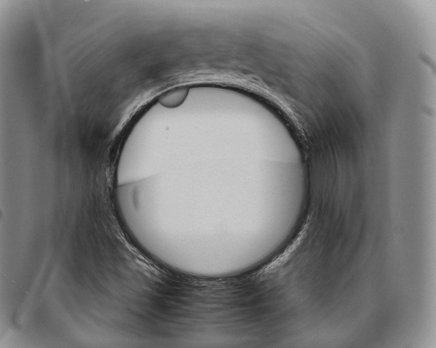 X0000096701501200803041310