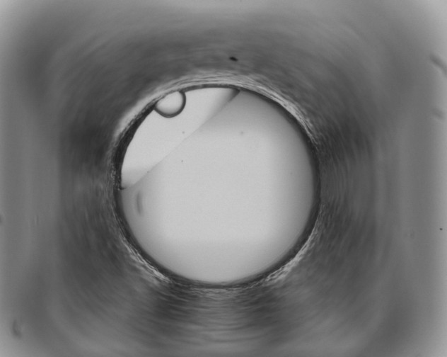X0000096701502200803041310