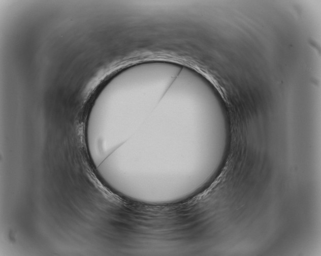 X0000096701503200803041310