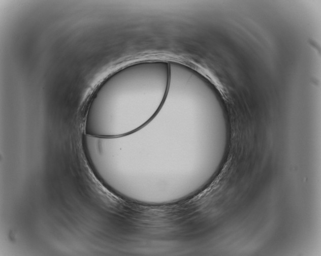 X0000096701504200803041310