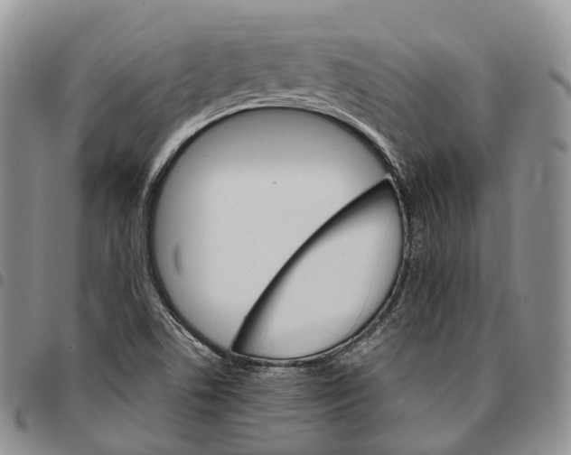 X0000096701506200803041311