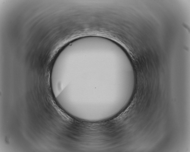 X0000096701507200803041311
