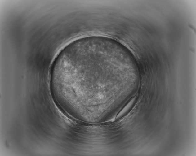 X0000096701508200803041311