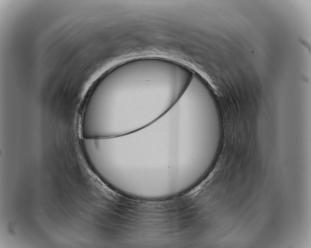 X0000096701510200803041311