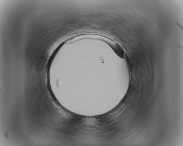 X0000096701511200803041311