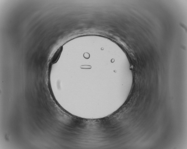 X0000096701512200803041311