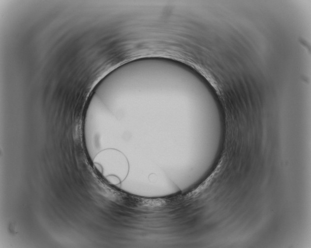X0000096701513200803041311