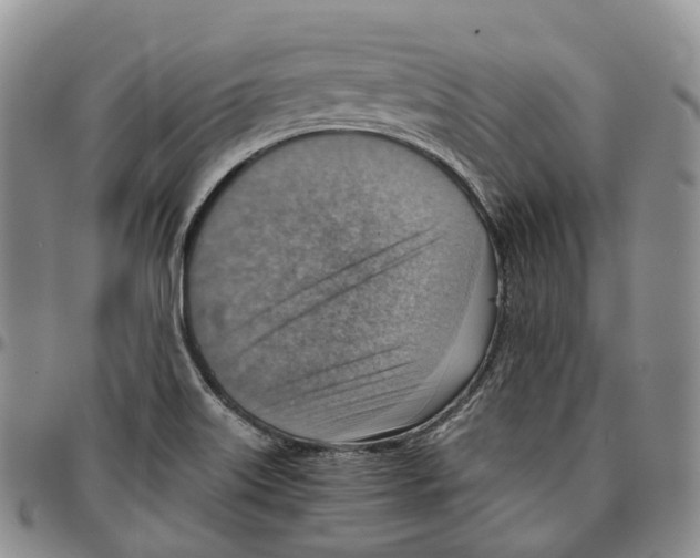 X0000096701515200803041311