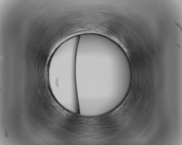 X0000096701516200803041311
