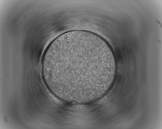 X0000096701517200803041311