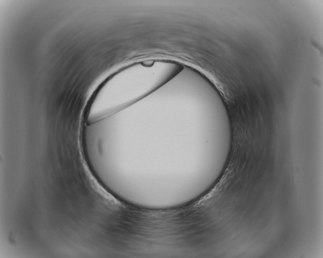 X0000096701518200803041311