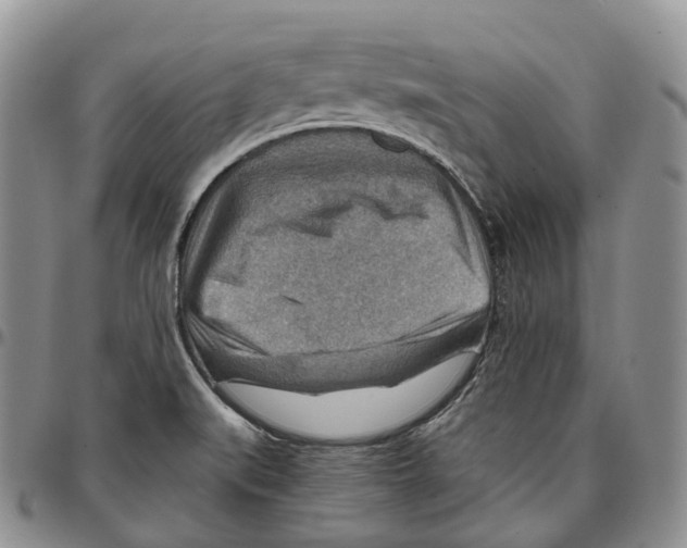 X0000096701519200803041311
