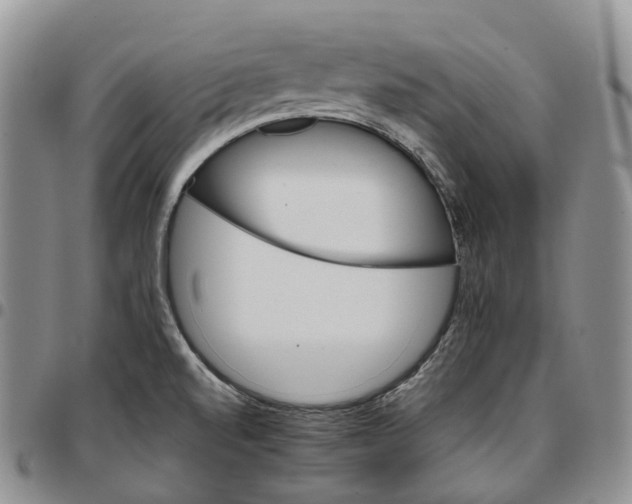 X0000096701520200803041311