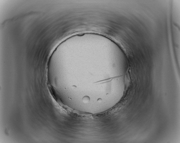 X0000096701524200803041311