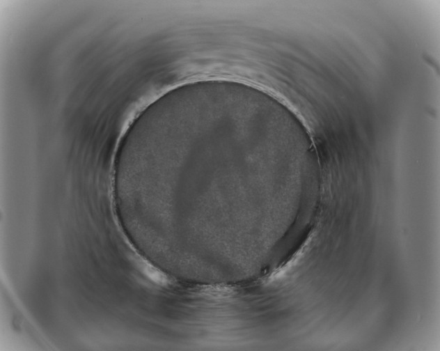 X0000096701525200803041311