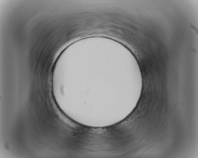 X0000096701526200803041311