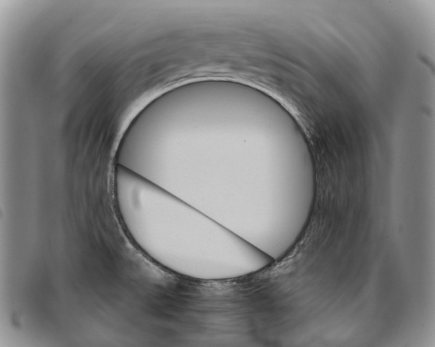 X0000096701527200803041311