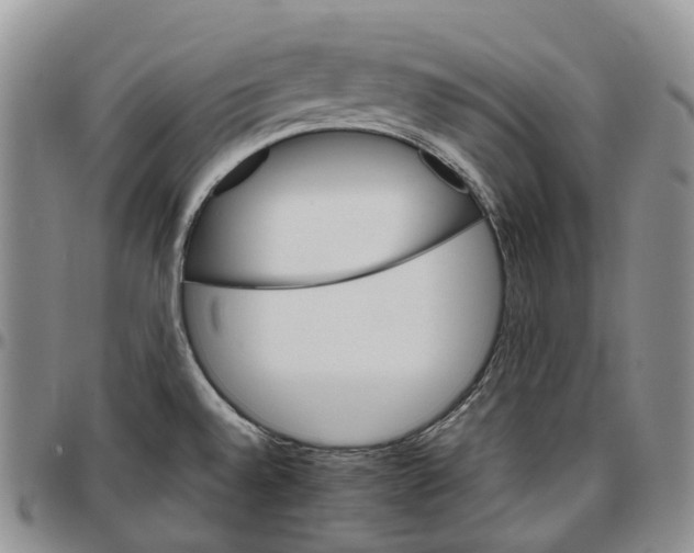 X0000096701528200803041311