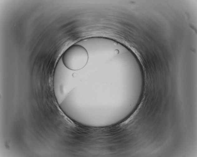 X0000096701529200803041311
