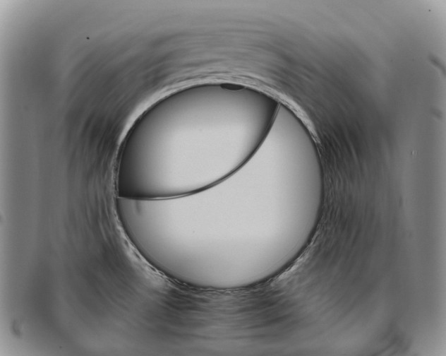 X0000096701530200803041311