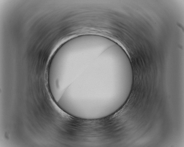 X0000096701531200803041311