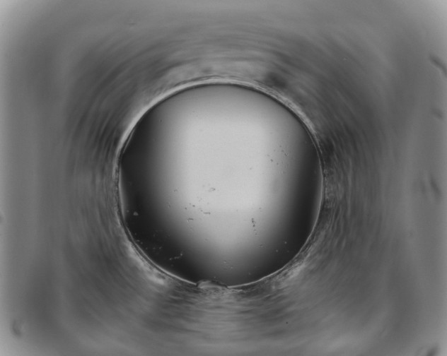 X0000096701532200803041311