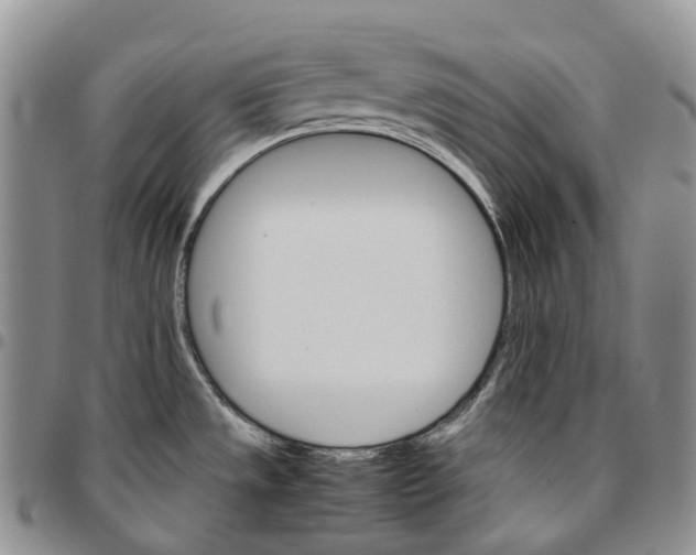 X0000096701533200803041311