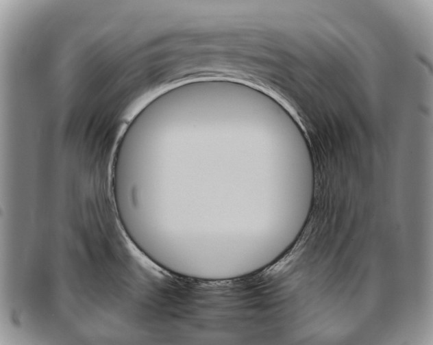 X0000096701535200803041311