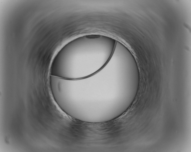 X0000096701536200803041311