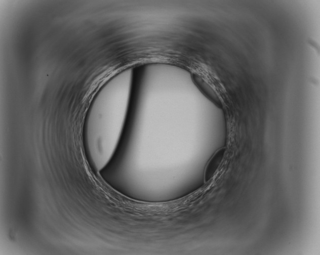 X0000096710001200802051048