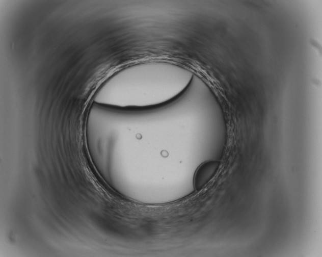 X0000096710002200802051048