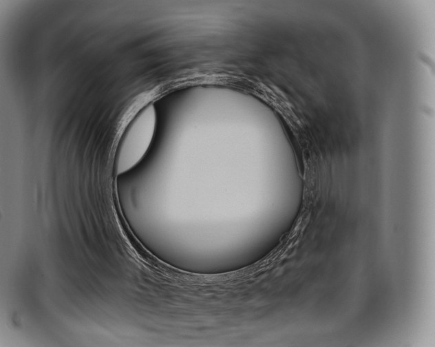 X0000096710003200802051048