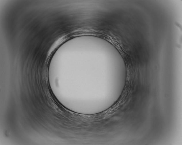 X0000096710004200802051048