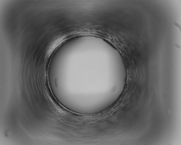 X0000096710005200802051048